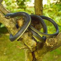 Realistic Rubber Snakes Long Fake Snake,Pranks Toy Snakes