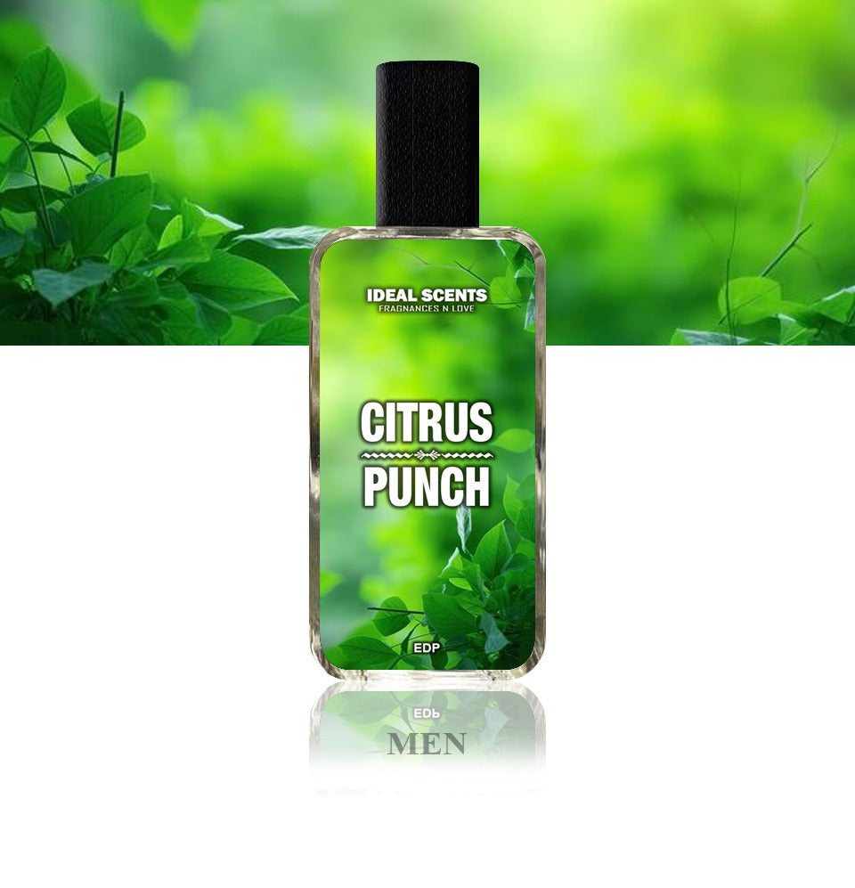 Citrus Punch Fragrance | 50ml | Inspired by Aventus Creed | Long Lasting 8–10 Hours | Made in Pakistan