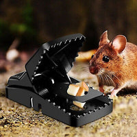Heavy Duty Reusable Plastic Mouse Trap Durable Safe Effective And Long Lasting Mouse Catcher For Rodent Control